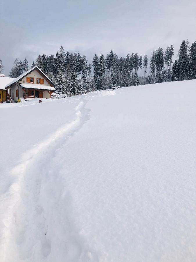 Domek W Gorach Jaworzynka Villa Exteriör bild